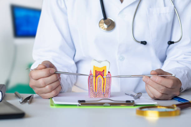 Best Emergency Orthodontic Repairs in Larkspur, CA